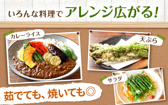 【春アスパラ】雪蔵美人 アスパラガス 計1.5kg（2L・L） | アスパラ グリーンアスパラ アスパラガス 北海道 春野菜 | JAびばい [BOCC004]