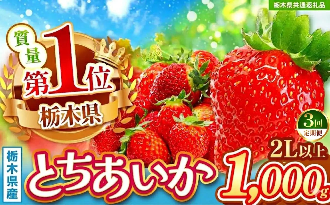【先行予約】【栃木県共通返礼品】【定期3回】とちあいか2L以上 約1kg | 栃木県 那珂川町 送料無料