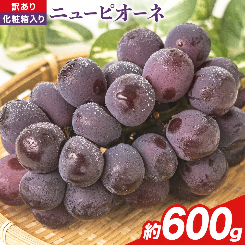 【先行予約】岡山県産 ニューピオーネ 約600g(1房) 《9月中旬-11月上旬頃出荷(土日祝除く)》岡山県 笠岡市 葡萄 果物 秋旬 訳あり 優品 厳選出荷 スイーツ フルーツ デザート 数量限定 2025---kasaoka_zsy_41_06---