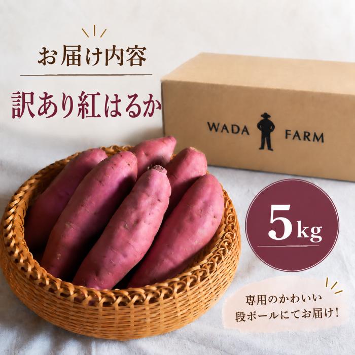 【 冬季 限定 】 【 先行予約 】 【 訳あり 】 高知県産 熟成紅はるか 極蜜芋 5kg ｜ 紅はるか さつまいも 生芋 熟成芋 高知 焼き芋 やきいも おやつ 農家直送 産地直送 WADA FARM 高知県 南国市