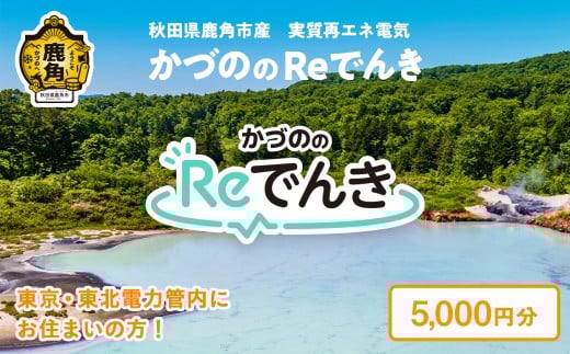 《地域限定》かづののReでんき 電気 5,000円分 秋田県 鹿角市産 電気 東京電力 / 東北電力 管内にお住まいの方限定 電力 料金 家計 東電 東北電 エコ 脱炭素 秋田 鹿角市 送料無料 【かづのパワー】