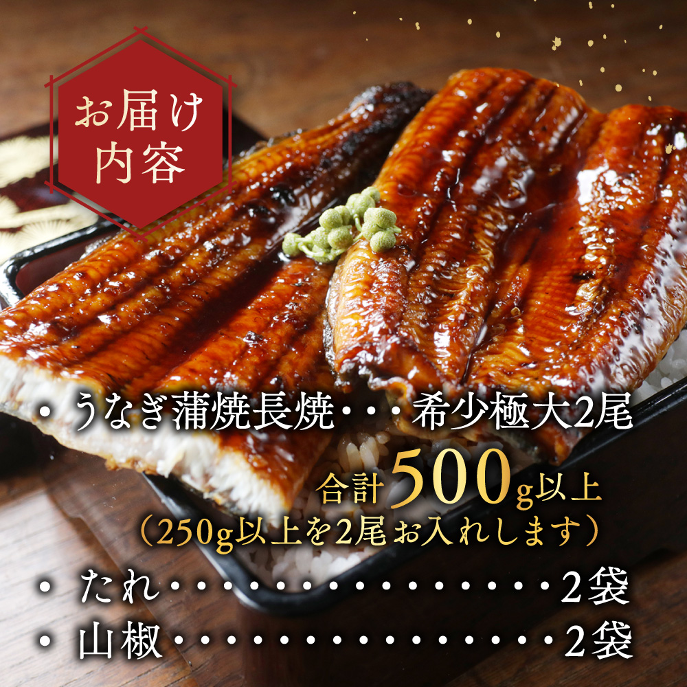 （6月）国産 希少 極大 特上うなぎ(250g×2尾)【OT000O250_006】_イメージ5