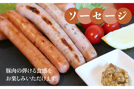 【全3回定期便】糸島の陽光ハムセット4 ウインナー 志摩スモークハウス[AOA017] 詰め合わせ ギフト お歳暮 ソーセージ 生ハム ウインナー ハム