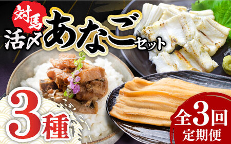 【全3回定期便】対馬 産 活〆 あなご セット [WAC018] 煮あなご 佃煮 アナゴ