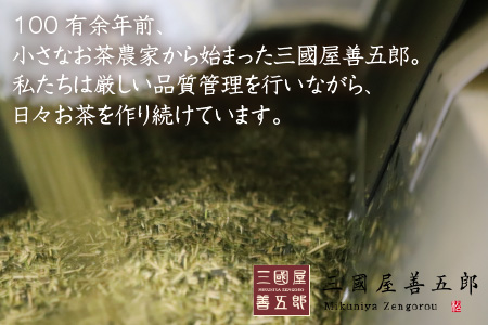 全部で100袋！濃厚な味わい!抹茶入玄米茶ティーバッグ8g × 50p × 2個 【A-12213】