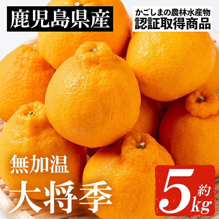 【ふるさと納税】＜先行予約受付中！2026年1月上旬頃より順次発送予定＞《期間限定・数量限定》JAさつま日置産無加温大将季(約5kg) 国産 鹿児島県産 だいまさき みかん ミカン 蜜柑 柑橘 冬季 果物 フルーツ 常温 常温保存【JAさつま日置北部営農センター】