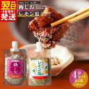 【ふるさと納税】＼最短翌日～5営業日以内発送／ 焼き肉専門店 梅じお レモン塩 スパイスセット 90g × 4袋 お試し 焼肉 BBQ 相性抜群 10種類 スパイス ガーリック ハーブ 塩 隠し味 マスタード オリジナル 味付け カルパッチョ お取り寄せ 常温 大阪府 泉佐野市 送料無料