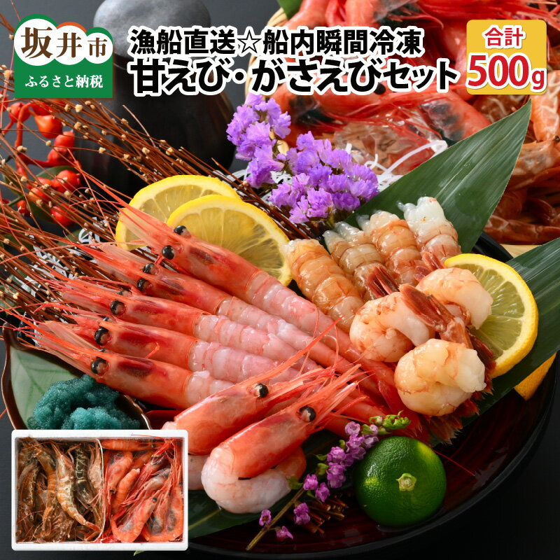 【ふるさと納税】【12月25日入金確認分まで年内発送可能！】漁船直送☆船内瞬間冷凍 共栄丸の甘えび・がさえび食べ比べセット【海老 えび エビ がすえび ガスエビ アマエビ あまえび 甘海老 殻付き 有頭 生食 刺身 魚介類 魚貝類 産地直送 国産 三国 人気】