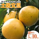 【ふるさと納税】【訳あり】先行予約 太陽の恵みをいっぱい受けて育った土佐文旦 家庭用 5kg 10kg 5キロ 10キロ L～4L 柑橘 フルーツ ミカン みかん 蜜柑 ぶんたん ブンタン 果物 くだもの 果汁 おやつ デザート 甘い 故郷納税 高知県 土佐清水市 送料無料 高知【R01135】