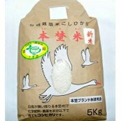 【ふるさと納税】白鳥の郷 本埜米 (こしひかり) 令7年産 8kg｜おこめ コシヒカリ 産地 直送 千葉 印西 [0517]