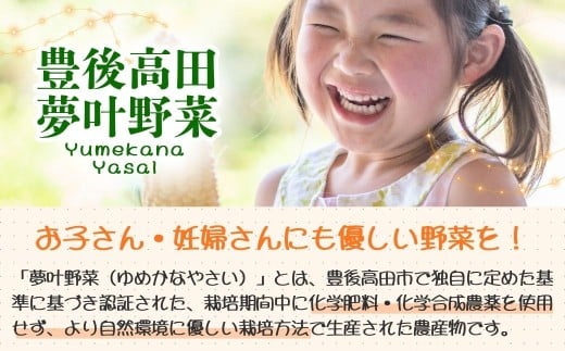 【先行予約・2月～3月にお届け】 季節の野菜 詰め合わせセット (野菜6～8品目) 夢叶野菜ボックス | 新鮮 産地直送 旬 国産 葉物 根菜 おすすめ 人気 野菜詰め合わせ 野菜セット 春野菜 夏野