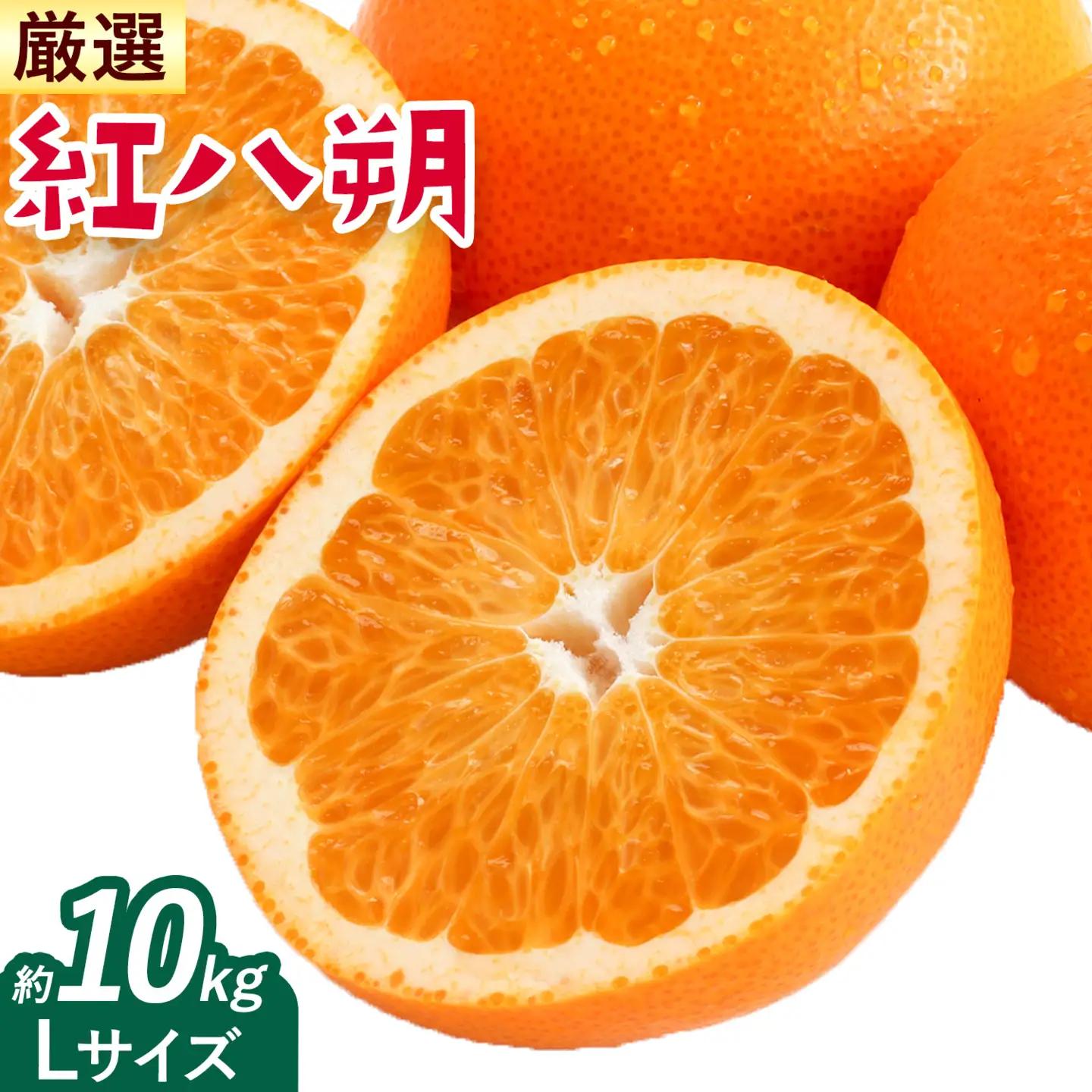 紅八朔 厳選 Lサイズ 約10kg GOGO農園 八朔