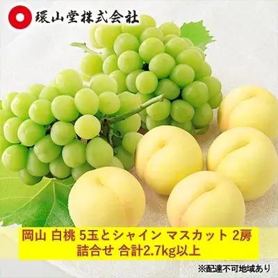 フルーツ詰合せ 白桃 シャインマスカット 岡山県産 フルーツ詰合せ【白桃5玉 ぶどう2房】【先行予約】