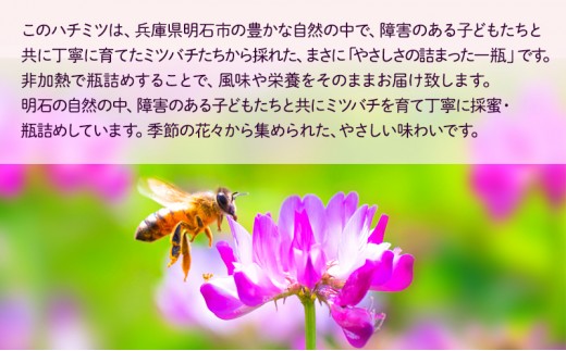 明石の自然と子どもたちの笑顔が育んだ はちみつ 150ｇ×3本　ハチミツ 蜂蜜