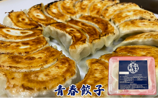 餃子専門店青春餃子 餃子食べ比べセット 3種40個