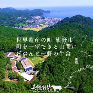 【美熊野牛】切り落とし 400g 黒毛和牛 希少 和牛