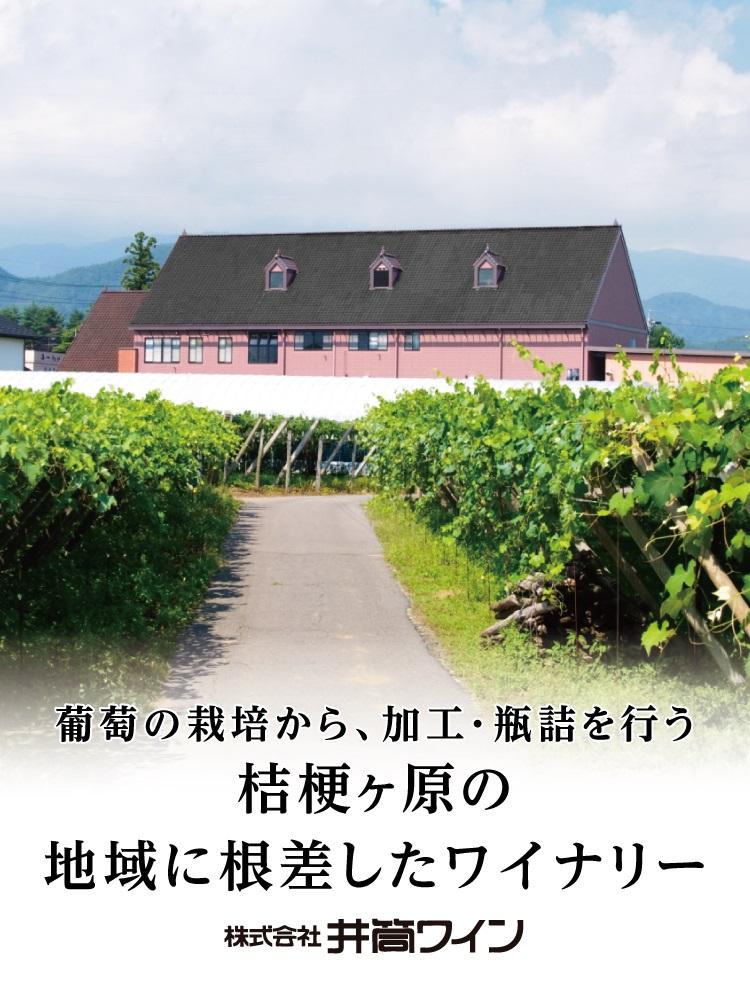 井筒ワイン 井筒プレミアム 完熟ぶどうジュース メルロー 720ml × 2本 極甘口 発売元 株式会社片山