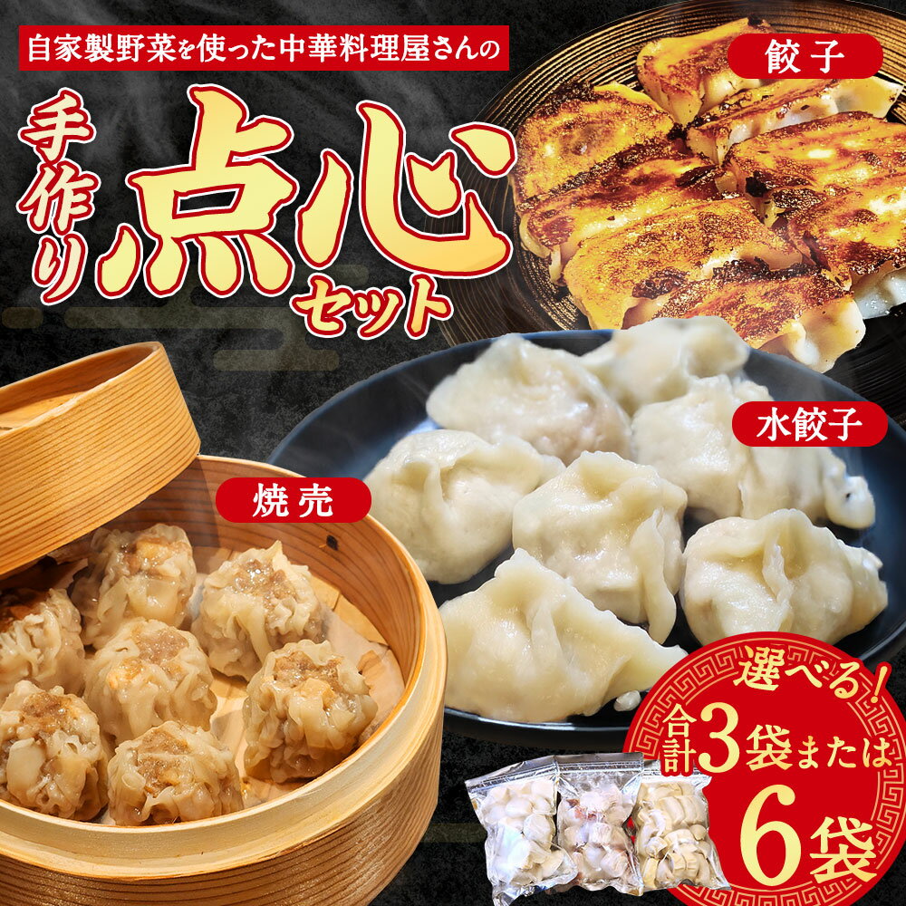 【ふるさと納税】＜選べる内容量＞自家製野菜を使った中華料理屋さんの手作り点心セット 3種 餃子・水餃子・焼売 計3袋（各1袋）・計6袋（各2袋） 計57個・計114個 ギョーザ シュウマイ しゅうまい 惣菜 おかず 冷凍 大分県産 国産 竹田市 送料無料