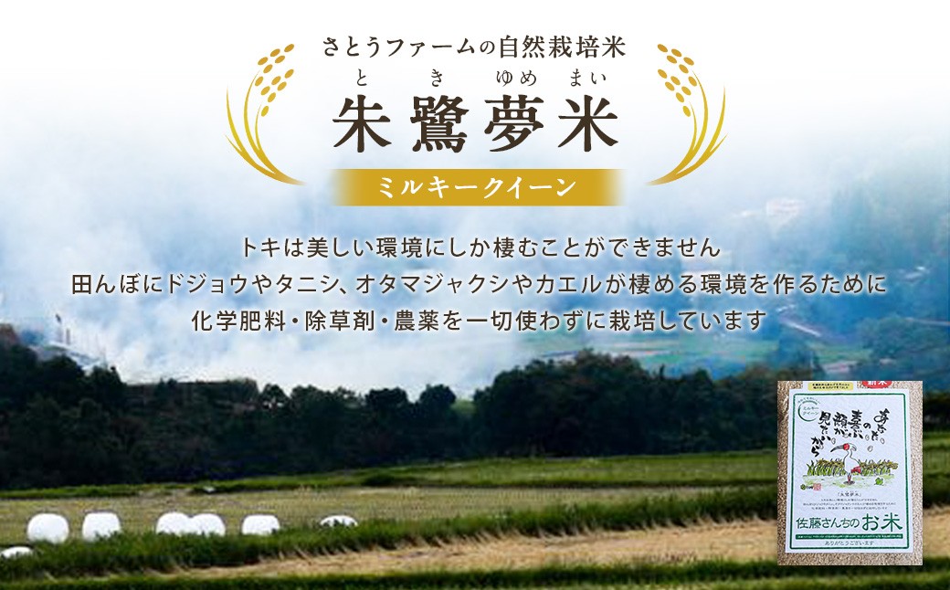 【6ヵ月定期便】さとうファームの自然栽培米（玄米5kg）