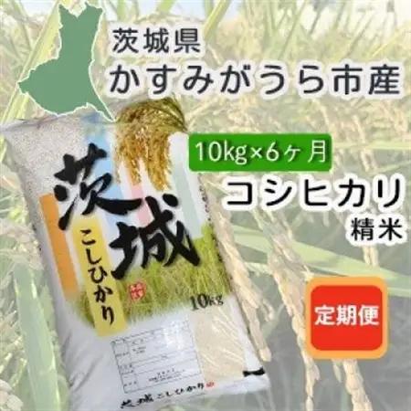 【毎月定期便】茨城県かすみがうら産　精米　コシヒカリ10kg全6回【4076525】