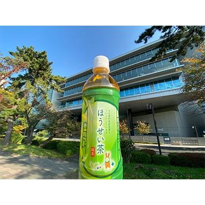 ふるさと納税 杵築市 大分県杵築市産茶葉使用　ほうせい茶　500ml×24本 |  | 02