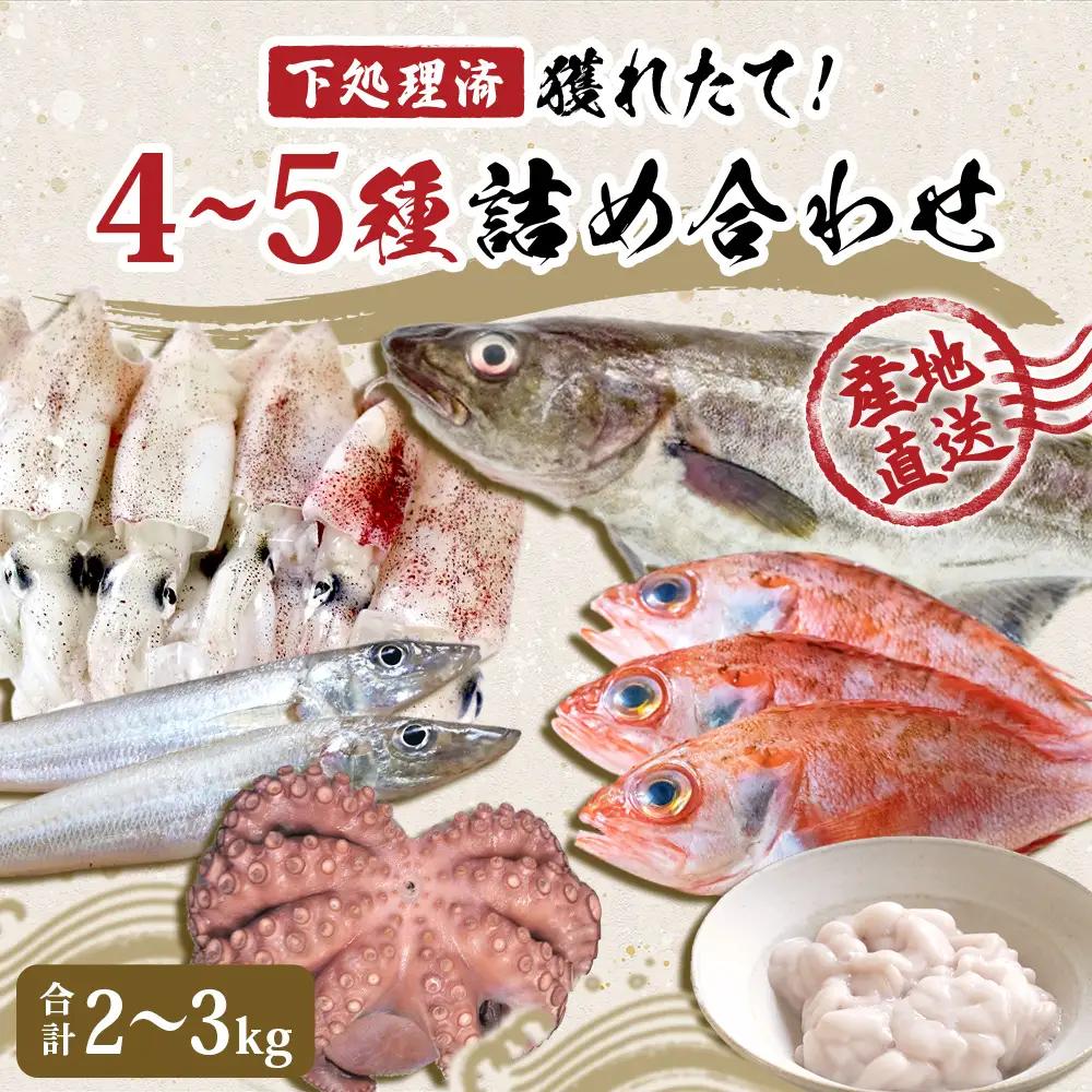 鮮魚 詰め合わせ 2～3kg（4～5種）下処理済み 魚 宮城県産