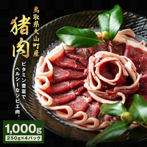 GB-02　猪肉　1kg（250g×4パック）