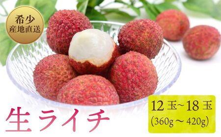 【令和8年6月頃より発送】先行予約 生ライチ 国産 室戸海洋深層水使用 ライチ 果物 フルーツ 化粧箱入り 贈答用