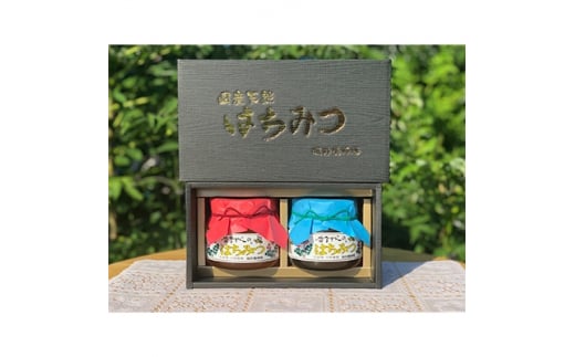 坂井養蜂場　昔ながらの蜂蜜　550g　2本組【1089941】