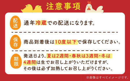 ばあちゃんの昔たまご 35個+5個（品質補償付き） / 佐賀県 / 素ヱコ農園 [41AEAA002]