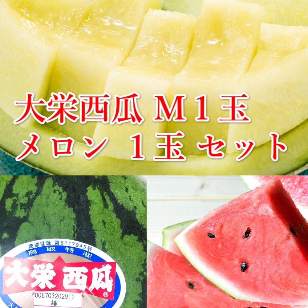 【ふるさと納税】【先行予約】大栄西瓜　秀　1玉と旬のメロンセット※6月中旬～7月中旬頃に順次発送予定