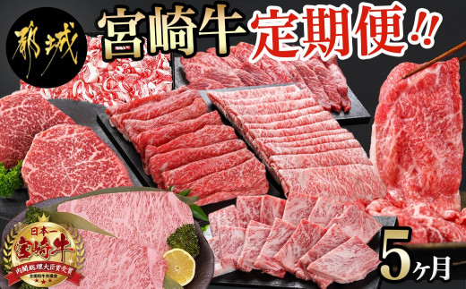 
                  宮崎牛定期便(5ヶ月)_T60（5）-0102_(都城市) ブランド牛肉 国産黒毛和牛 赤身 バラ 切り落とし サーロインステーキ 焼肉 宮崎牛 5ヶ月間毎月お届け
                
