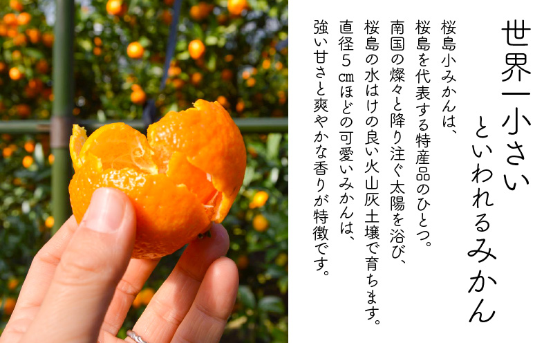 桜島こみかん精油 5ml×1本　K062-025