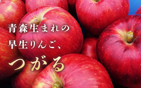りんご【つがる】約5kg（12～20玉）【2025年産・先行予約】★2025年9月上旬～9月下旬頃まで発送予定★ 青森県三戸町産