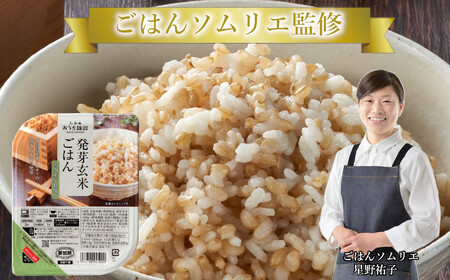 発芽玄米ごはんパック 180g×10個セット ごはん ごはん ごはん 0002-0115-01
