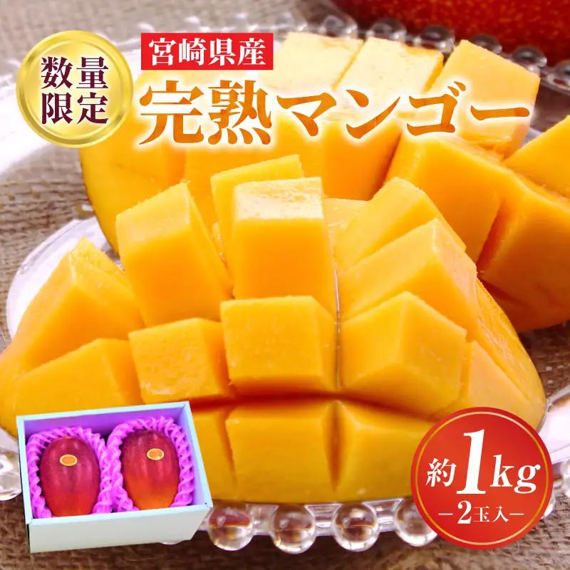 マンゴー 完熟 マンゴー [期間限定 宮崎 A3L 2玉 約1kg]