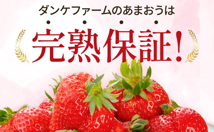 あまおう 約1650g（約275g×6パック） 【先行受付／2027年3月～5月中旬順次発送予定】いちご 苺 福岡高級 フルーツ お取り寄せ ご当地グルメ 福岡土産 取り寄せ グルメ 福岡県 食品 社会福祉法人 猪位金福祉会