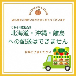 【4回定期便】有機野菜詰め合わせ＆米 野菜