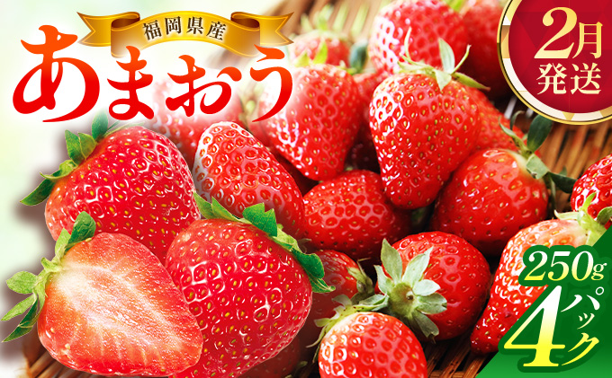 【2月発送】福岡県産あまおう約250g×4パック