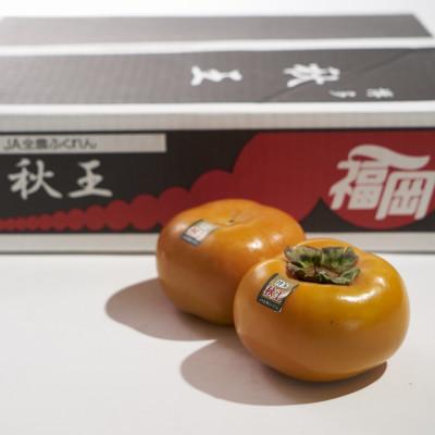 ふるさと納税 志免町 【先行受付】福岡県産ブランド柿「秋王」　約1.5kg(4-6玉)(志免町) |  | 01