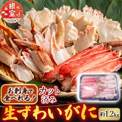 ふるさと納税 根室市 生食可!カット済み生ずわいがに約1.2kg B-14101