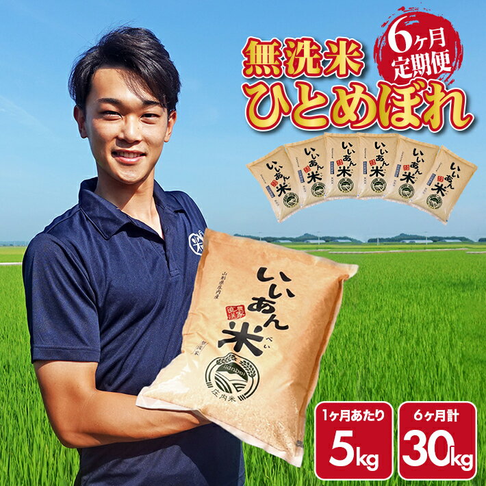 【ふるさと納税】≪新米予約≫ ≪6ヶ月定期便≫ 無洗米 ひとめぼれ 5kg×6ヶ月連続 計30kg 山形県庄内産 ご希望期間の毎月中旬頃お届け 米 お米 精米 白米 いいあん米 定期便 JGAP認証農場