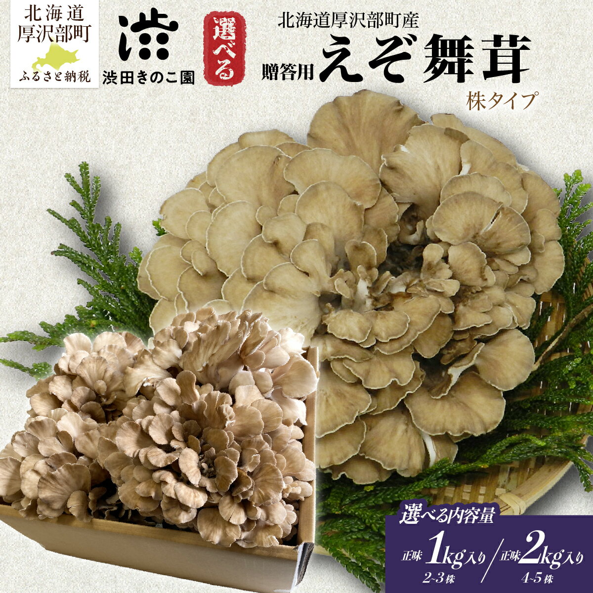 【ふるさと納税】北海道厚沢部町産 舞茸 厚沢部の極みえぞ舞茸 肉厚まいたけ きのこ 贈答用 株タイプ 選べる内容量 正味1kg・2kg 渋田きのこ園 冷蔵 産地直送