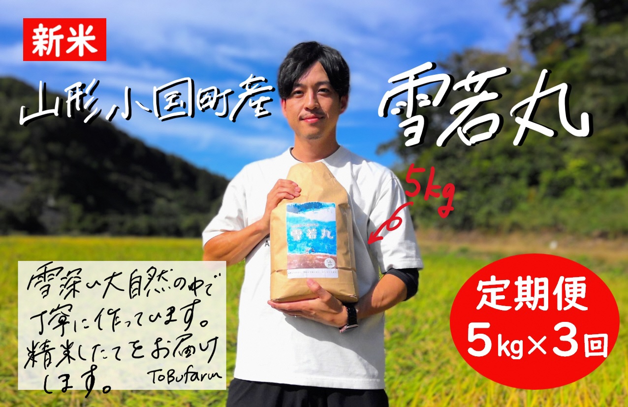 【3回定期便】令和6年産　山形県小国町産　雪若丸・5kg