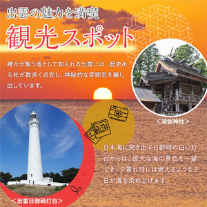 【2026年6月以降発送】いずもぶどう　デラウエア（出雲の大粒アメジスト）3Lサイズ 6房 1.6kg相当 美味しい 果物 フルーツ