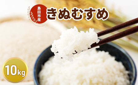 お米 10kg（きぬむすめ） 米 コメ 精米 白米 ご飯 静岡県 島田市 ※配送不可:北海道、沖縄、離島