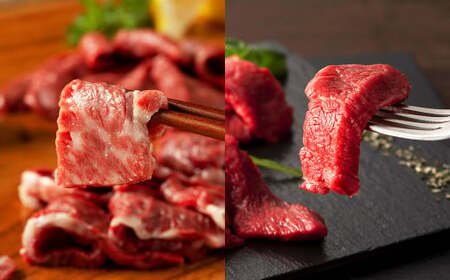 馬刺しと球磨焼酎の熊本特産マリアージュ10種セット 馬 馬肉 焼酎 馬刺 九州 熊本