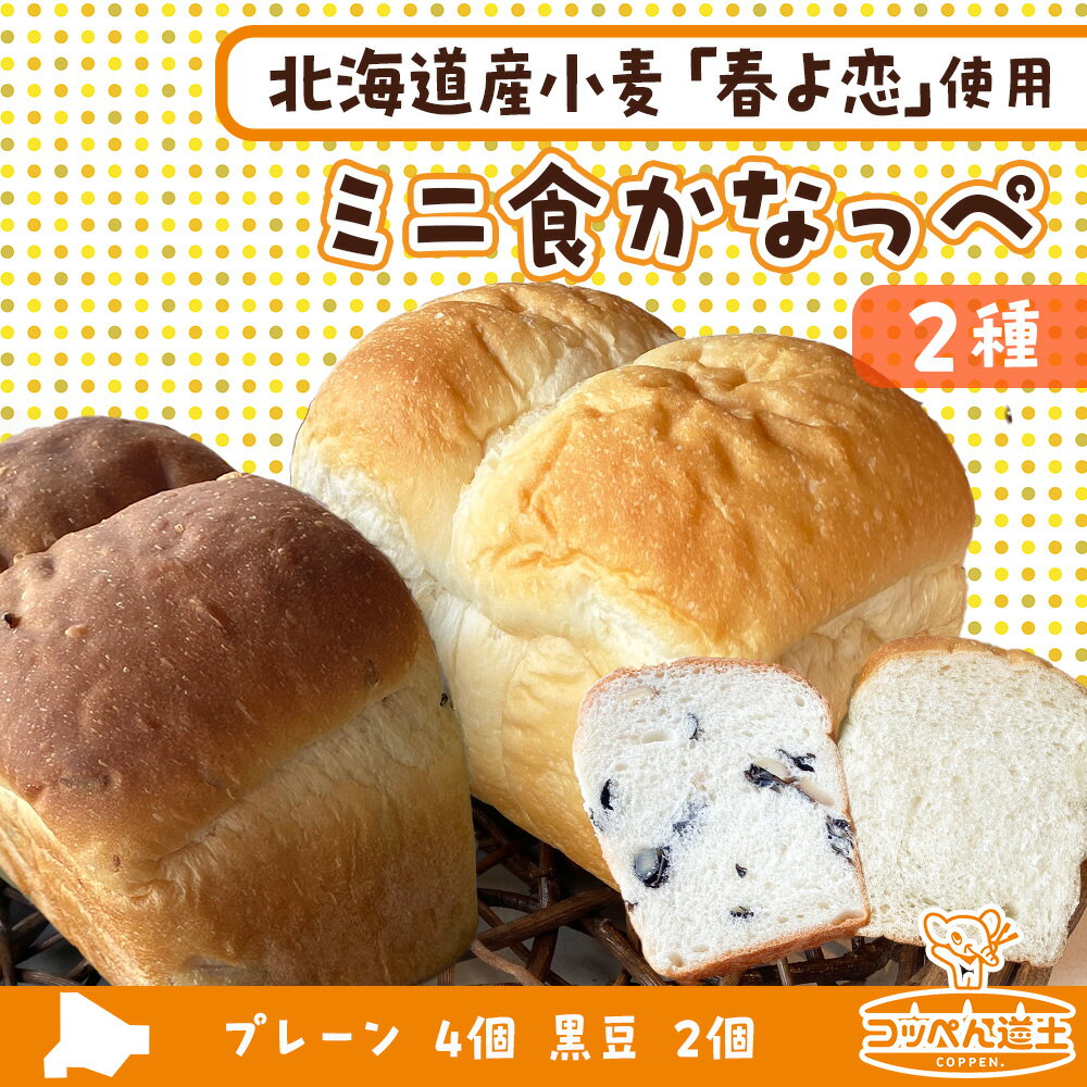【ふるさと納税】ミニ食かなっぺ2種セット【プレーン4個/黒豆2個　計6個】北海道産 小麦 春よ恋 食パン パン トースト カナッペ 手作り 自家製 焼きたて 酵母 ベーカリー 朝食 手軽 冷凍 お取り寄せ 人気 自家用 ギフト 送料無料 木古内 木古内町
