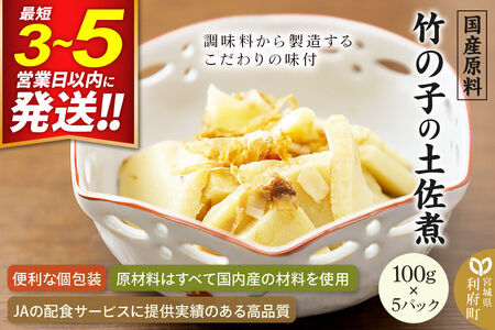 竹の子の土佐煮 100g×5パック 国産原料