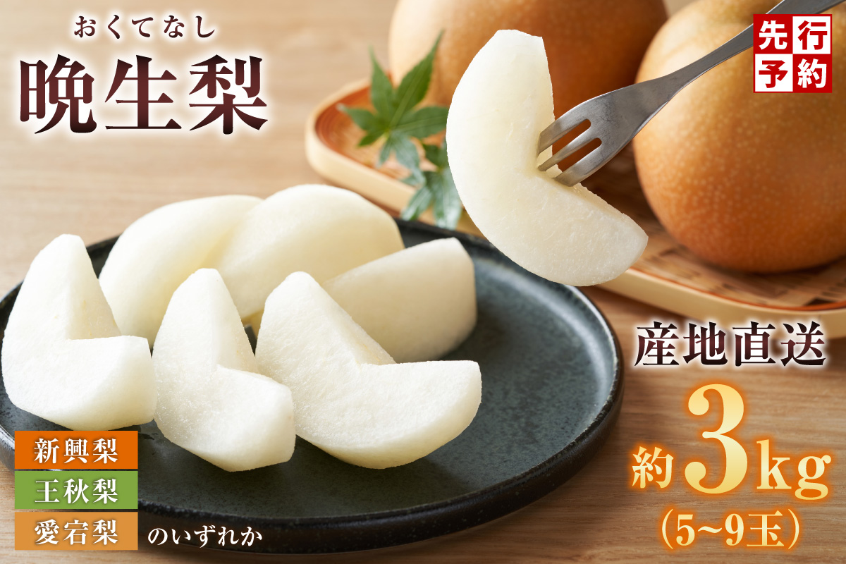 2026年産 先行予約【晩生梨 品種（新興梨 王秋梨 愛宕梨のいずれか）3kg（5～9玉）】10月中旬～12月下旬にかけて発送予定 晩生品種 新興 王秋 愛宕 梨 なし ナシ 和梨 フルーツ 大人気 人気 甘い みずみずしい 果実 果物 新鮮 旬の果物 おすすめ ランキング 国産 香住  贈り物  贈答 ギフト 秋 冬 兵庫県 香美町 香住 JAたじま 11000円 12-06